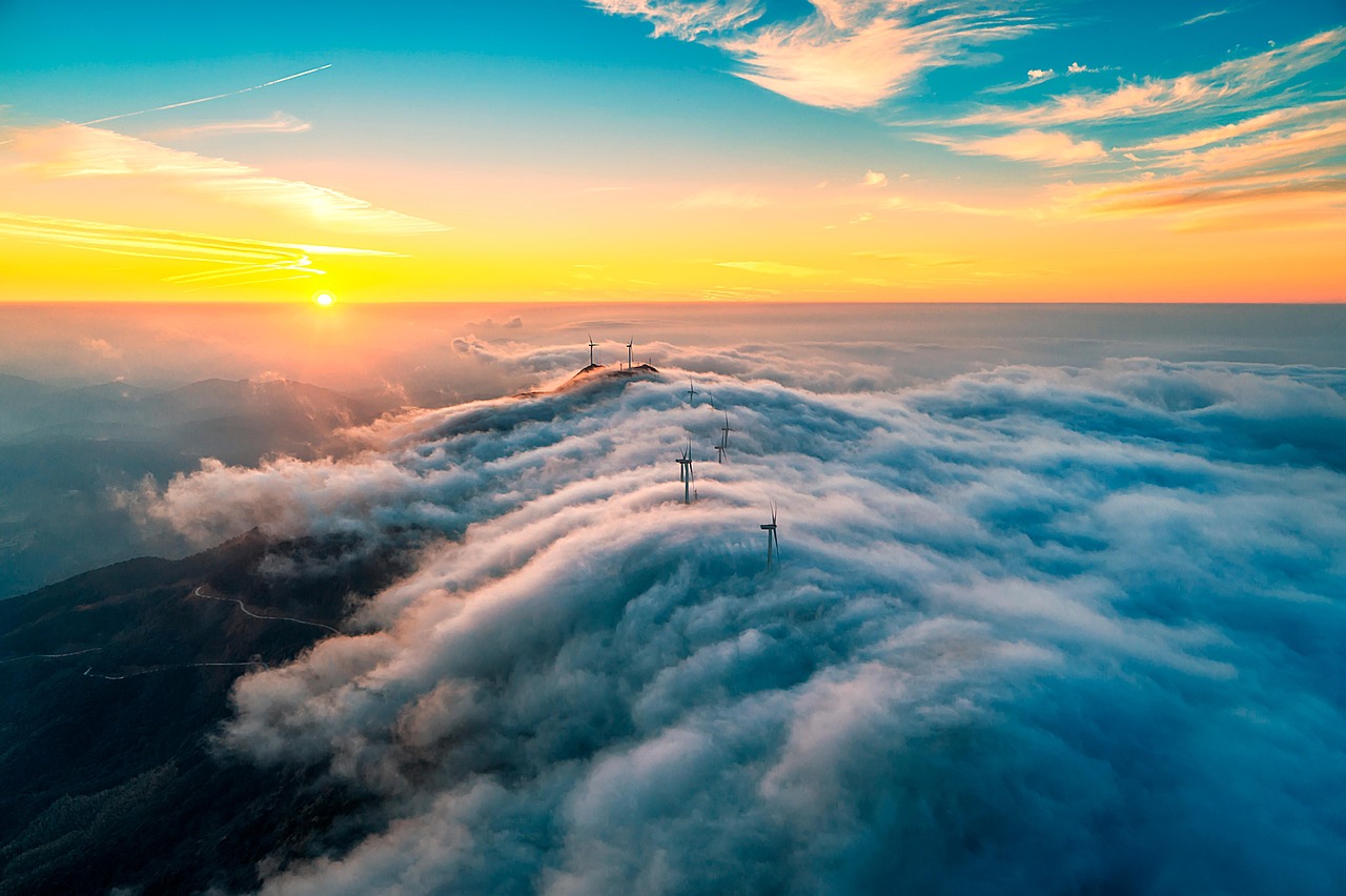 Sustainable Ecosystem